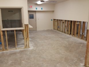 drywall mold replacement