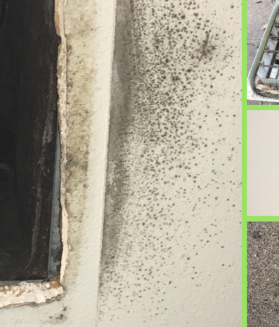 How to Clean Mold from A/C Vents: 7 Ways to Maintain Healthy Air in Your Home